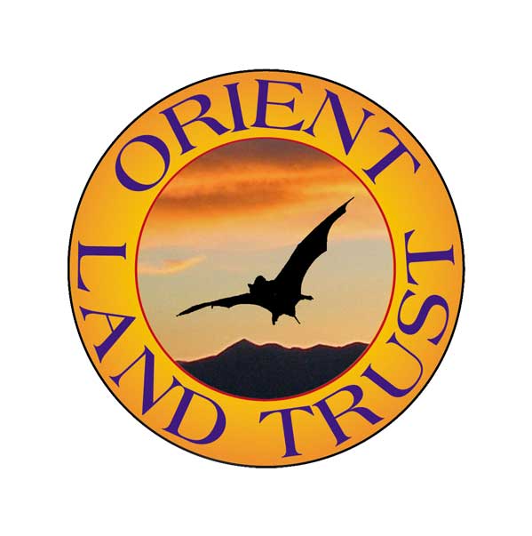 OLT Logo